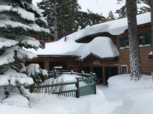 Mountainback #50, Pet Friendly