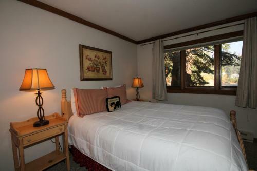 Mountainback #50, Pet Friendly