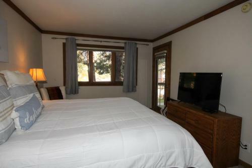 Mountainback #50, Pet Friendly