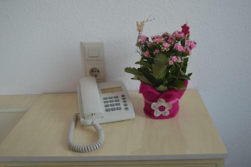 Hostal Hotel Adler Post