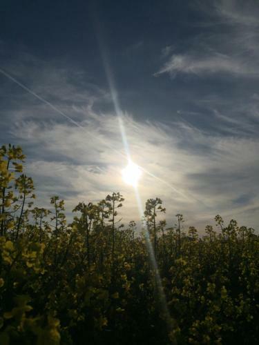 Apartamento Fewo Schiffner