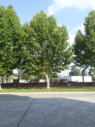 Pampa Modern Apartment