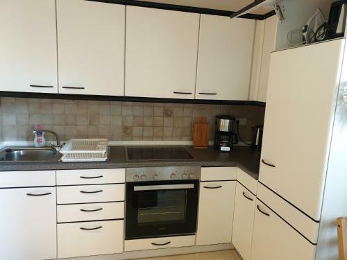 Apartamento Birke 1