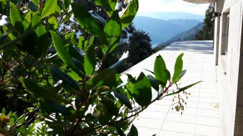 Casa Douro Terrace