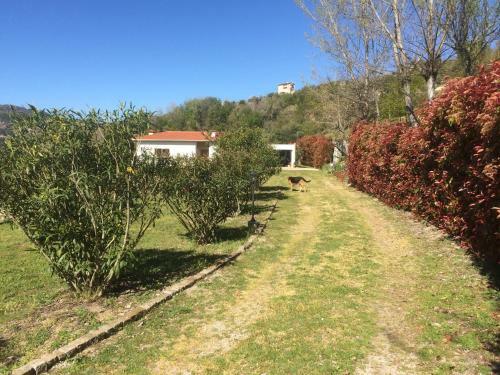 Villa Casa Do Tarrio
