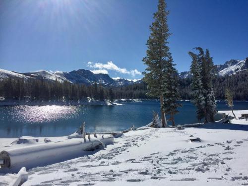 Aspen Creek #123