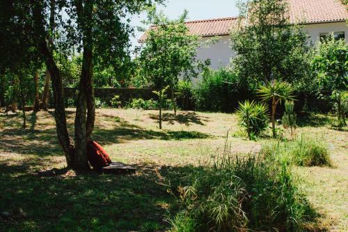 Villa Clementina