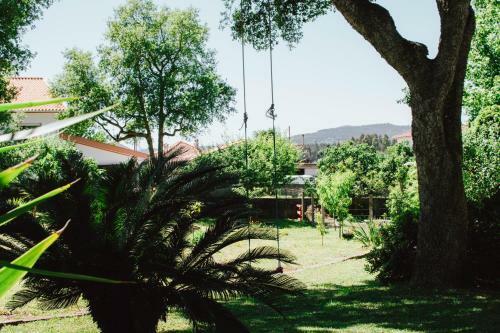 Villa Clementina