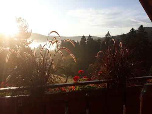 Hostal Landhaus Waldesh�he