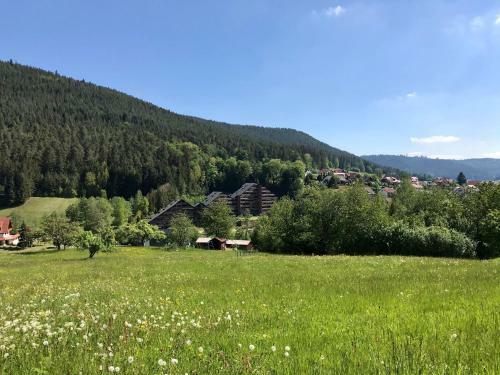 Apartamento Haus Schwarzwaldgrund