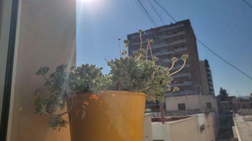 Apartamento Boho Jujuy