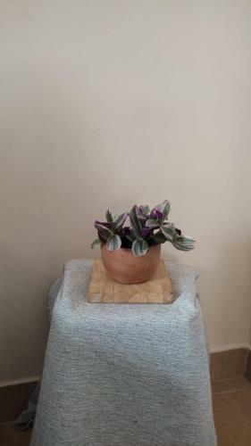 Apartamento Boho Jujuy