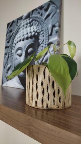 Apartamento Boho Jujuy