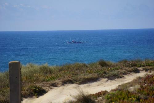 Alma Do Mar