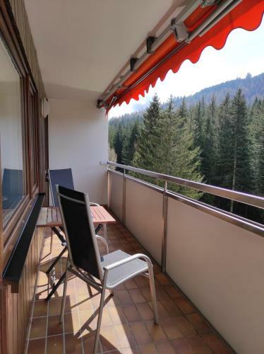 Apartamento Ferienwohnung Vogelnest Im Schwarzwald