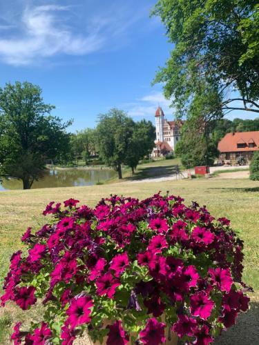 Apartamento Historisches Geb�ude " Rentmeisteramt" Basedow