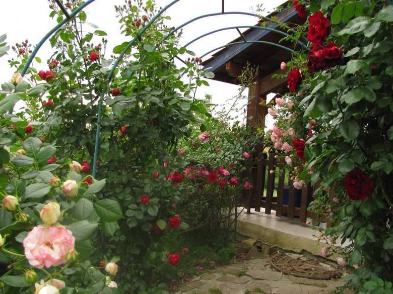 Bed & Breakfast Chambres D'h�tes Gelous