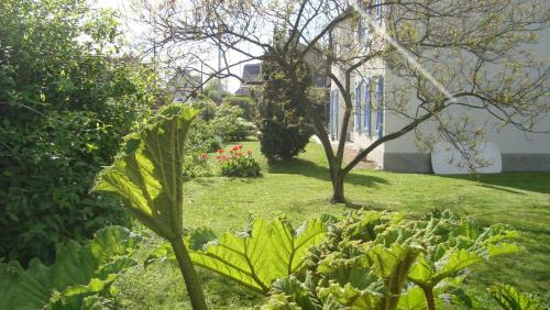 Bed & Breakfast La Maison Claire