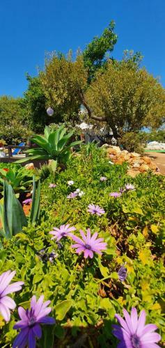 Apartamento Hakuna Matata