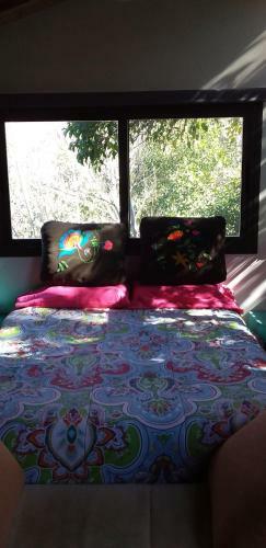 Torito's House