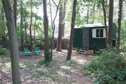 Wald Und Wohlsein