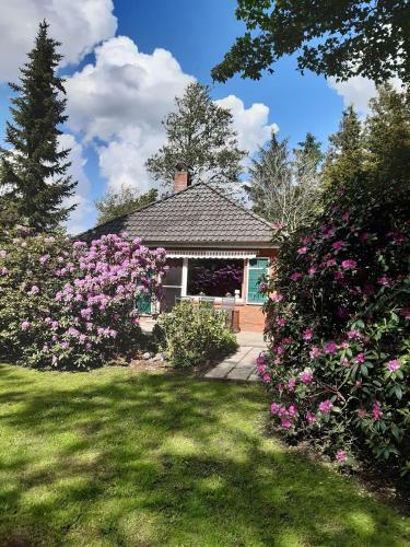 Schr�der - Ferienhaus Abelitz