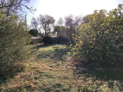 Villa Casa Da Figueira