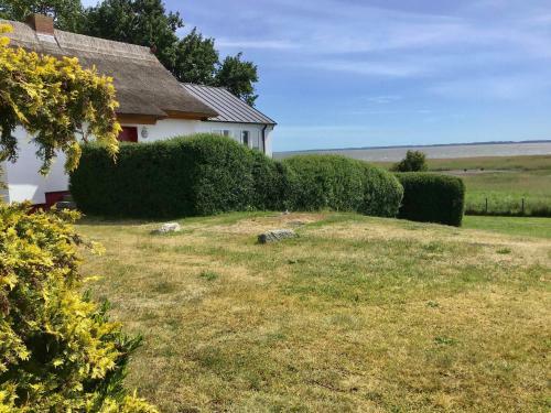 Ferienhaus Grabowblick