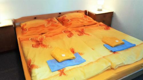 Hostal Penzion Sumavacek