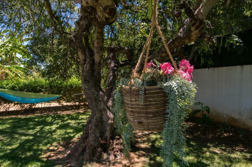 Casa Costa E Silva - 4 Bedrooms Apart With Private Pool In A Quiet Location