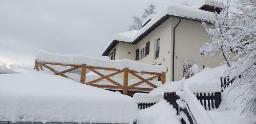 Magic House Under Arber