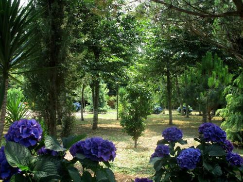 Quinta Outeiro Da Luz