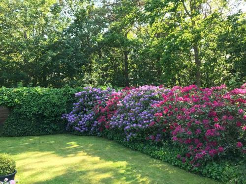 Trouville Bed & Breakfast