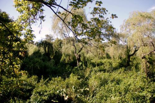 Villa Caba�a Delta.lasofi