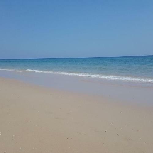 Apartamento Alta Da Ria House