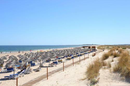 Apartamento Alta Da Ria House