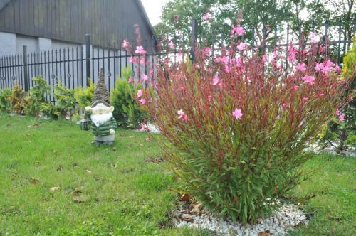 Apartamenty Golf Dyndeby
