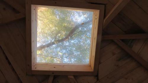 Treehouse B&B