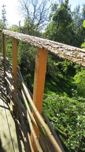 Treehouse B&B
