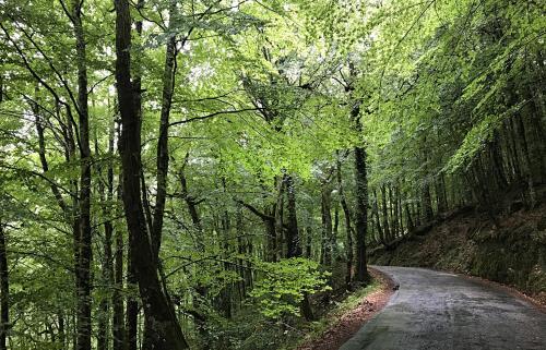 Casa Natura Ger�s
