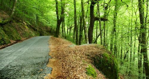 Casa Natura Ger�s