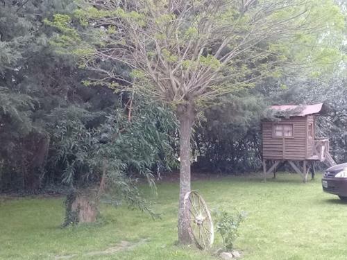 Lodge Caba�a Paso A Paso
