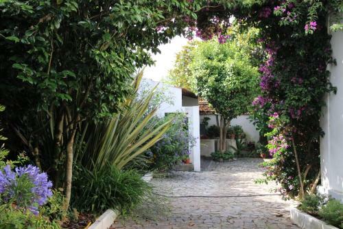 Patio Canelas