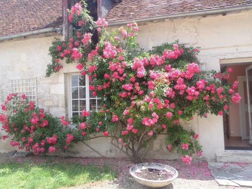 Bed & Breakfast Chambres D'h�tes Du Domaine de Jacquelin
