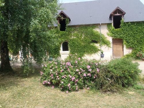 Bed & Breakfast Chambres D'h�tes Du Domaine de Jacquelin