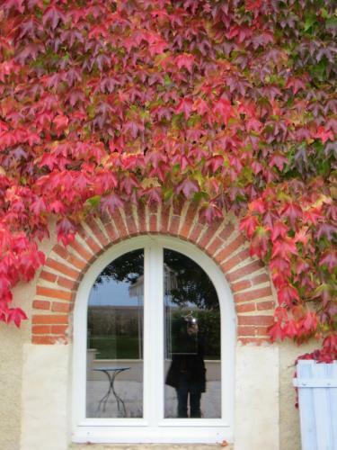 Bed & Breakfast Chambres D'h�tes Du Domaine de Jacquelin