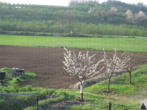 Agroturismo Agriturismo La Tilia