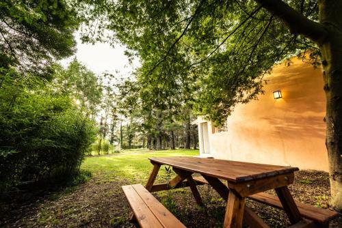 Apartamento Nomeolvidesm�s