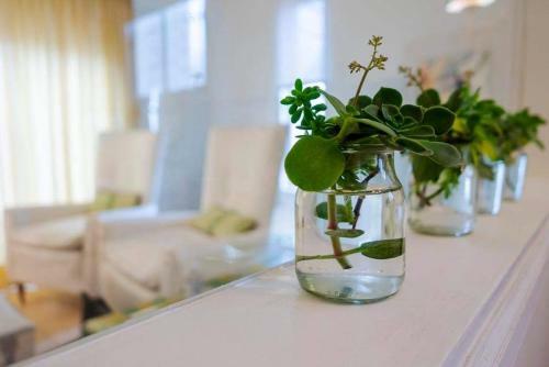 Apartamento Merlin