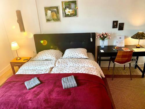 Four Individual Beautiful Spacious Rooms In Stylish Apartment